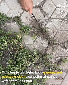 Remove Weeds Easily. #WeedRemoval #CleanGarden #HandWeeder | Gizmo Trends