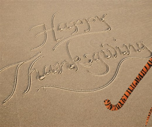 46 reactions | Holy Trinity Episcopal Academy on Reels | Facebook