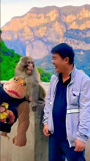 Male monkey protects squishy wife monkey🤣