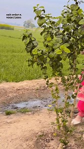 168K views · 3.9K reactions | 珞suit febric Glass Orgenza kamij bottom tabby silk chunni pure order n.9001472004 WhatsApp Priyanka Kapil Poonia full party wear suit | Priyanka Kapil Poonia | Facebook