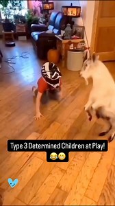 Do you have a Type 3 Determined Child or Grandchild? Then you can relate! Go to caroltuttle.com/books to get $5 off my bestselling parenting book - The Child Whisperer. | Carol Tuttle