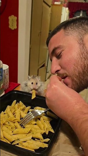 Hamster eats pasta with couple in Los Angeles, California, USA