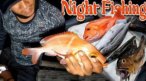 85K views · 4.2K reactions | Night Fishing | Harabas | Harabas | Facebook