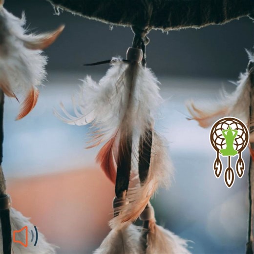 33 reactions · 7 comments | 樂Do you know why a dreamcatcher always has feathers dangling from the ends? Many indigenous tribes give deep symbolic meaning to the dreamcatcher. See the comments for a link to learn the meaning of the feathers and to listen to my song, Dreamcatcher Photo by Ryan Everett | Prairie Path Music | Facebook