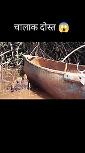 274K views · 3.1K reactions | चालाक दोस्त || #explainedmovie #explainmovieinhindi #explainedhindi #explainedinhindi #explainer #explanation #Explained #explain #fb #viralreelsシ #viralreelsfb #trendingreel | Raman Rana | Facebook