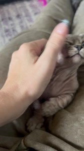 Brooke Adams on Reels