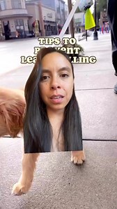 #remix with ayce.and.aria Do you find these real life examples helpful?! I sure do 😍I find my dogs do better on leash 👉 the LESS I use the leash (meaning👇) The more I practice in a very low distraction environment (ie home) with NO leash, and reward a focus on me, reward following me, reward walking by my side for ONE step, then 2 steps, then 3 steps…. Slow gradual progression reinforcing the VALUE of staying near me, focused on me…It’s slow, it’s honestly boring sometimes, but it sets the ex