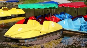Paddle Boats Blowing Wind On Pond 库存影片视频（100% 免版税）3500546933 | Shutterstock