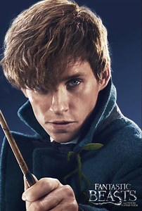 79K views · 6.5K reactions | More comfortable with creatures than his fellow witches and wizards, Newt Scamander has been traveling the world documenting magical beasts. #FantasticBeasts | Fantastic Beasts | Facebook