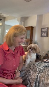 9.5K views · 847 reactions | Kiss me  | Shih Tzu Lovers | Facebook