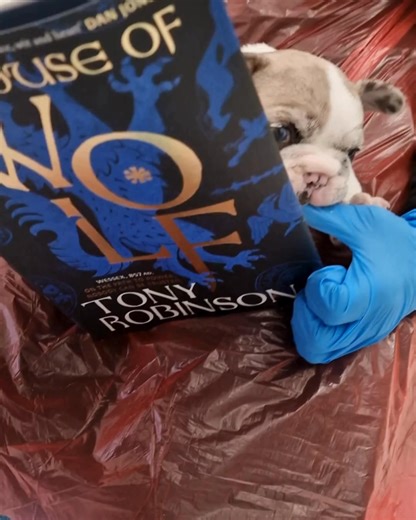 6.7K views · 33 reactions | RSPCA Derby on Reels | Facebook