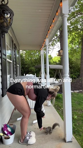 Squirrels Eating Bugs - Unexpected Discovery!