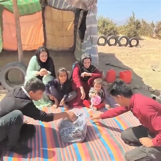 3.1K views · 31 reactions | Nomadic Life Nightmare Mehrdad and Asma's Family Engage in Bloody Conflict | Pet Lover | Facebook