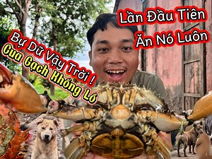 301K views · 6.2K reactions | May mắn bắt được Cua Gạch Siêu Khủng Long | Tâm Chó Cỏ | Facebook