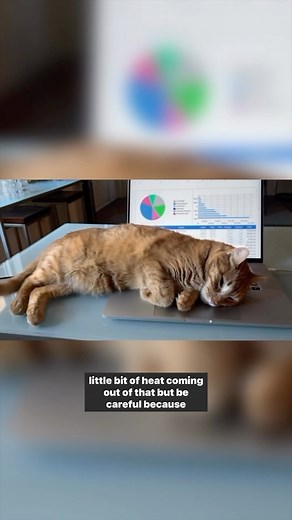 Here’s why cats love keyboards! 💻#Cats #IfIFitsISits #CatBehavior #CatLife | Jackson Galaxy