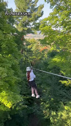 On commence en force avec le parcours extrême d’Abraska 🌳🪵🧗🏽‍♀️ @Pacostarz7⭐️🌺 #alphabethdating #trend #A #arbraska #arbreenarbre #larafale #parcoursextreme #tyrolienne #rigaud