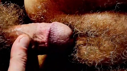 Amazone und Anaconda