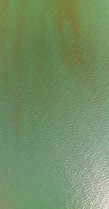 5.3K views · 87 reactions | What are the rusty streaks of water on the bay? Turn up your volume and find out! #notcool | Fish Guy Photos | Facebook