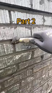 My brother sends me $15,000 a month. At his wedding, his bride said, stop leeching. I left. The room froze. then my brother, relatives--and even his bride--chased me out. Because... plus | N5