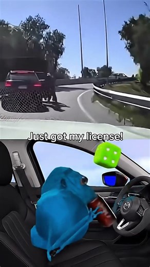 i lust got my drivers license