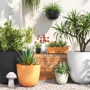 71 reactions · 4 comments | Discover all the necessities for indoor and outdoor gardening. | Target | Facebook
