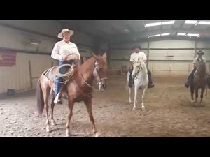 Ebony Horsewomen Lesson with Pat