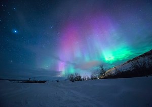 Virtual vacations: Travel through your screen with northern lights livestreams, otter cams, and Osaka street tours