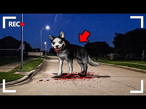 STALKED BY SMILE DOG... (Full Movie)