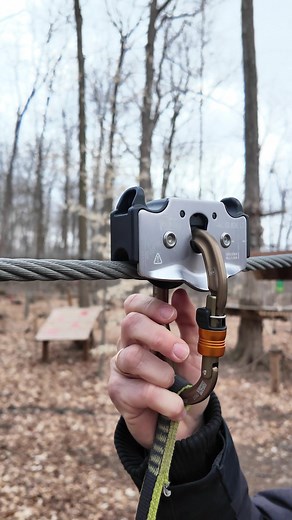 Experience Treetop Adventures: Zip Through the Canopy