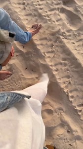 A beach staycation at Adina Apartment Hotel Bondi Beach 🤍 📸 @leahwwilliams_ | Adina Hotels