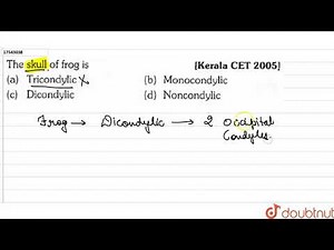 The skull of frog is