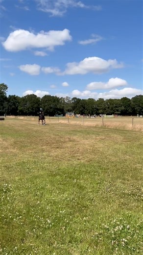 When your horse has never jumped a hedge before and doesn’t understand that he actually needs to take off!!!*please note that neither my daughter or horse were injured as a result of this video - I am panicky because I couldn’t see over the hedge 🫣😅🙏 #EpicFails # Rosie Brace 👌👌👌 | Lucy Saxelby
