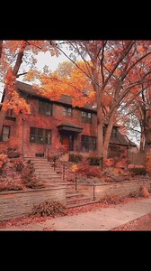 Love Canada on Reels