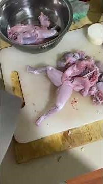 Terrifying footage of decapitated frog moving after its dead 😳