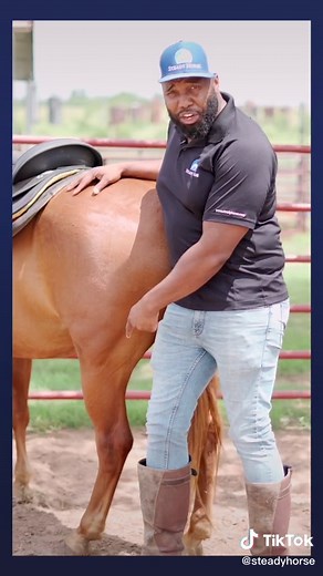 Steady Horse on TikTok