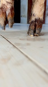 2.3M views · 14K reactions | في اي #philadelphia #disappointment #disneyinspired #musician #hobbies #sermon #art #worship #SundayService #french | رضوي & ريم | Facebook