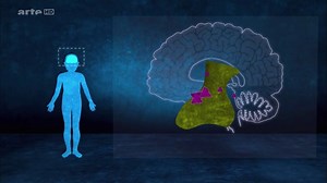 3K views · 21 reactions | Le syndrome de Laron est une maladie...