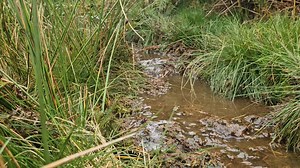 8K views · 59 reactions | The bottomless bogs of the Glenderaterra on the Keswick 15k course. How deep do you think they'll be after such a wet summer? lakelandtrails.org | Lakeland Trails | Facebook