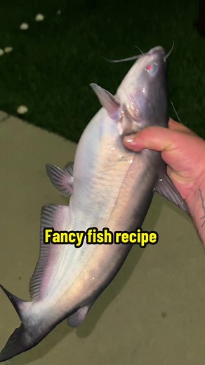 Normal Person Fishing: Catch, Cook, Enjoy