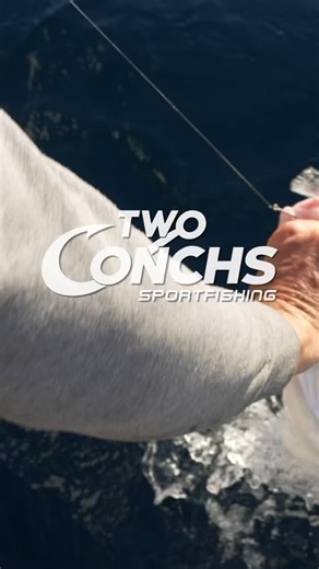 @twoconchs Big Catch Compilation for #FreemanFriday #TwoConchsSportfishing #TwoConchsTV #TwoConchsAdventures • • • 🎥: @mfinmedia 💻: @circusmedia.co - @william.nault • • • • • • • • • • • • • @audi @siriusxm_marine @afwhiseas @furuno_usa @bubbablade @mercurymarine @monsterenergy @rockfordfosgate @costasunglasses @wholesale.marine @bkkhooks_amercias @tigressoutriggersandgear @fortressmarineanchorsusa @flkeysaquariumencounters • • • • • • • • • • #fishing #fishinglife #watersports #fish #nature #