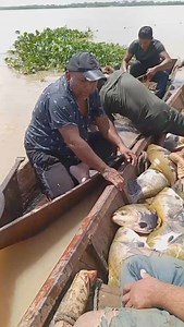 12K views · 6K reactions | Bregando en la pesca  鸞 Creditos a...