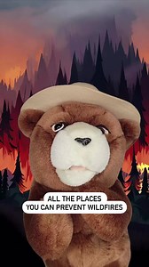 No matter where you are, #OnlyYou can prevent wildfires! | Smokey Bear