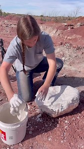 Plastering Louis the Dimetrodon maxilla. . . . . . . . . . . . #dimetrodon #permian #fossils #paleontologist #womeninstem #whitesidemuseum | Whiteside Museum of Natural History