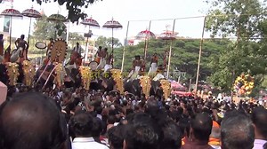 सोचिए जब कोई बिना आपकी मर्जी के आपको कैदी बना ले तो कैसा महसूस करेंगे ? हमारे धार्मिक आयोजनों, सर्कस, चिड़ियाघरों एवं पर्यटन के लिए यह हाथी, मानसिक, शारीरिक एवं भावनात्मक उत्पीड़न सहते हैं। कृपया उनकी रिहाई के लिए आवाज उठाएँ। | PETA इंडिया