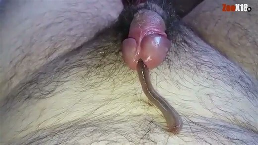 A new home for a large earthworm.