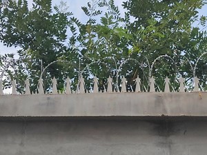 [Hot Item] Official Buildings/Prison Border Security Wall Spike for Gates