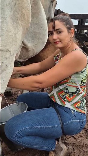 Fresh Cow Milking in Village | Pure Organic Farm Life 🐄🥛 #villagelife #agro #rurallife #cow