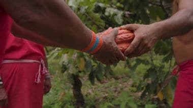 Icam approva bilancio sostenibilita' 2021, -10% emissioni CO2 - Il Sole 24 ORE