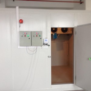 [Hot Item] Large/Medium/Small Cold Room Price Cold Storage with Sandwich Panel for Seafood Fruit