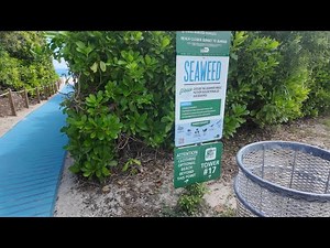 Haulover clothing optional beach vlog